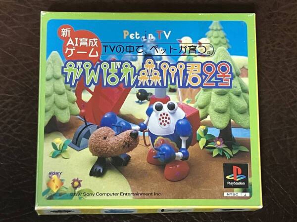 ★ 送料無料 PS1 育成シミュレーション ★ がんばれ森川君2号 Pet in TV 初回生産限定 紙BOXパッケージ 動作確認済 説明書付き シール付き