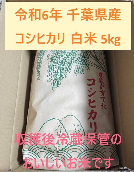 お米 令和6年産 おいしい千葉産コシヒカリ 白米5kg 精米済み♪