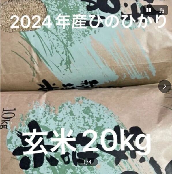 2024年産ヒノヒカリ玄米20 kg【送料無料】^_^