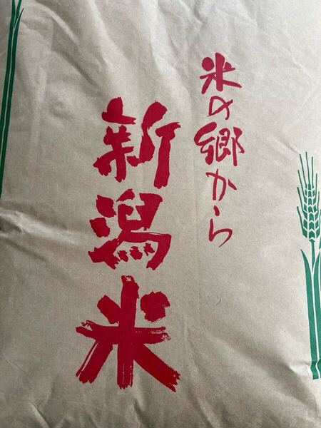 令和6年産 新潟県産 コシヒカリ 玄米 30kg