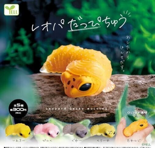 レオパだっぴちゅう あしたからほんきだす 全5種