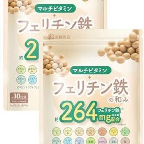 【医師・管理栄養士W監修】 フェリチン鉄 サプリ 264mg/袋 マルチビタミン 【業界高水準14種の栄養機…