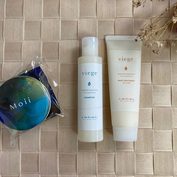 送料込☆LebeL ルベル viege ヴィージェ シャンプー30ml&トリートメント30ml 携帯用 旅行用 お試しサイズ 缶ケースおまけ付き