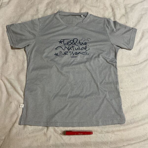 半袖Tシャツ 半袖カットソー 肩幅38身幅50着丈62袖18裾スリ5cm 500円超複数10%オマケ タグ読めず 化繊 薄手 透ける 青白横縞と英文字