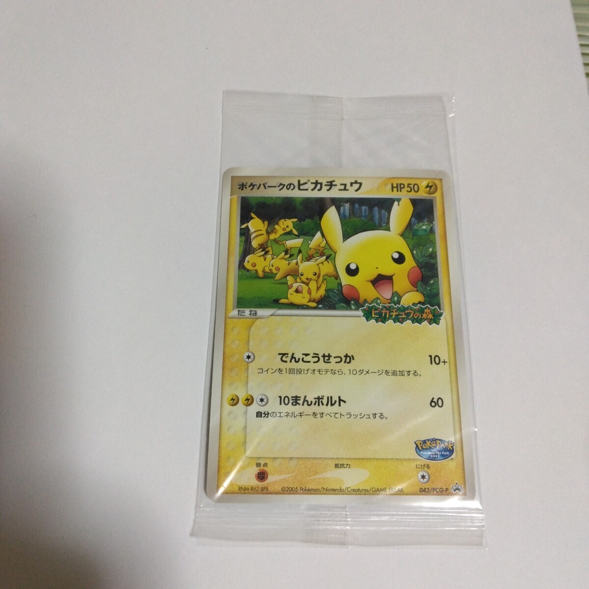 PSA10鑑定済〕ポケパークのピカチュウ【P】{043/PCG-P}