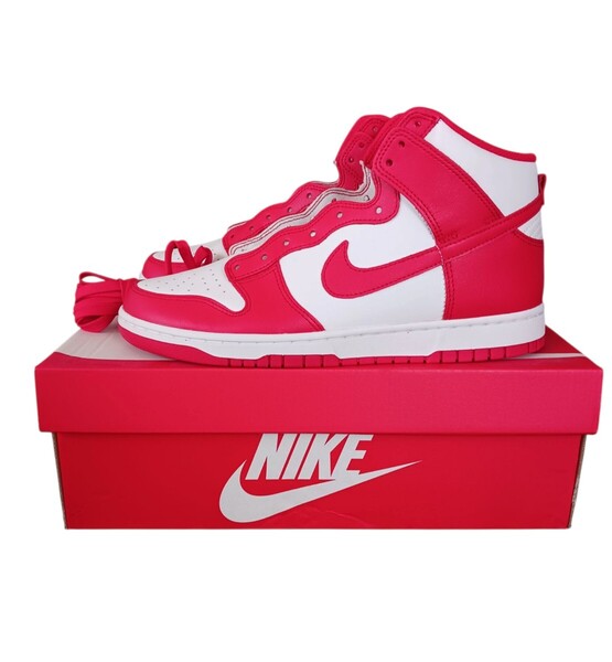 美品 NIKE ナイキ DUNK ダンク HI ハイ 28cm US10 DD1399 UNIVERSITY RED WHITE ユニバーシティレッド ホワイト 赤 白 チャンピオンシップ