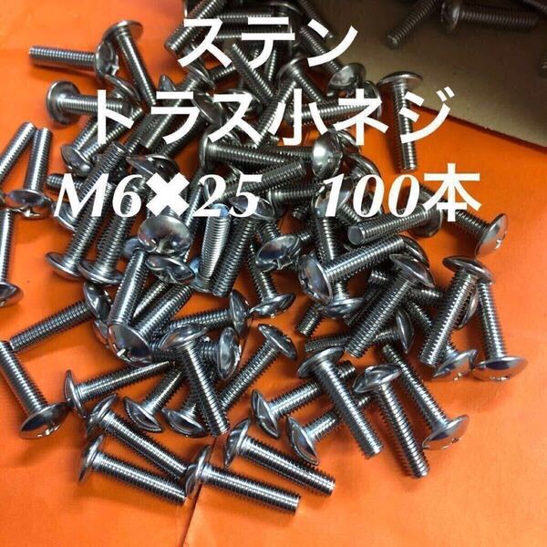 ◆送料込み◆ステンレス トラス小ねじ M6×25 100本 ステン トラス小ネジ
