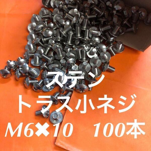 ◆送料込み◆ステンレス トラス小ねじ M6×10 100本 ステン トラス小ネジ