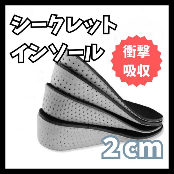 2cm シークレット インソール 中敷き 身長アップ 美脚 メッシュ 靴 22.5cm〜27cm