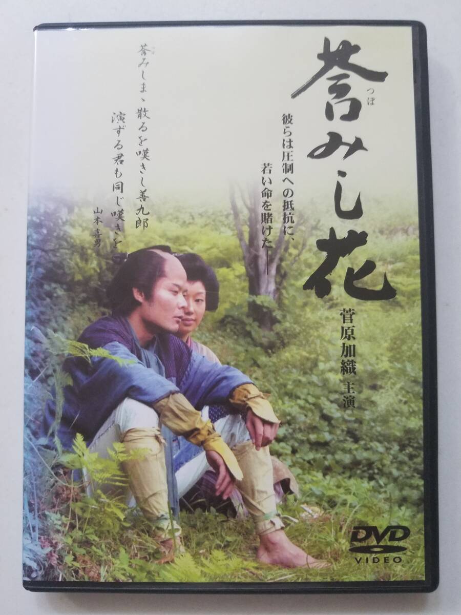 DVD デコトラ外伝 男人生夢一路　菅原加織 ａｎｎａ 田口トモロヲ 中島宏海 DVD デコトラ外伝 男人生夢一路 菅原加織 anna 田口トモロヲ
