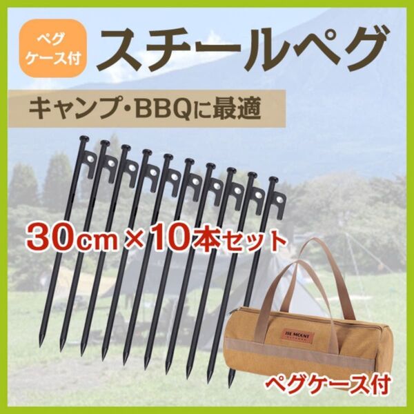 スチールペグ 30cm 10本セット キャンプ アウトドア テント ロープ ブラック 軽量 登山 黒 フック ケース付き