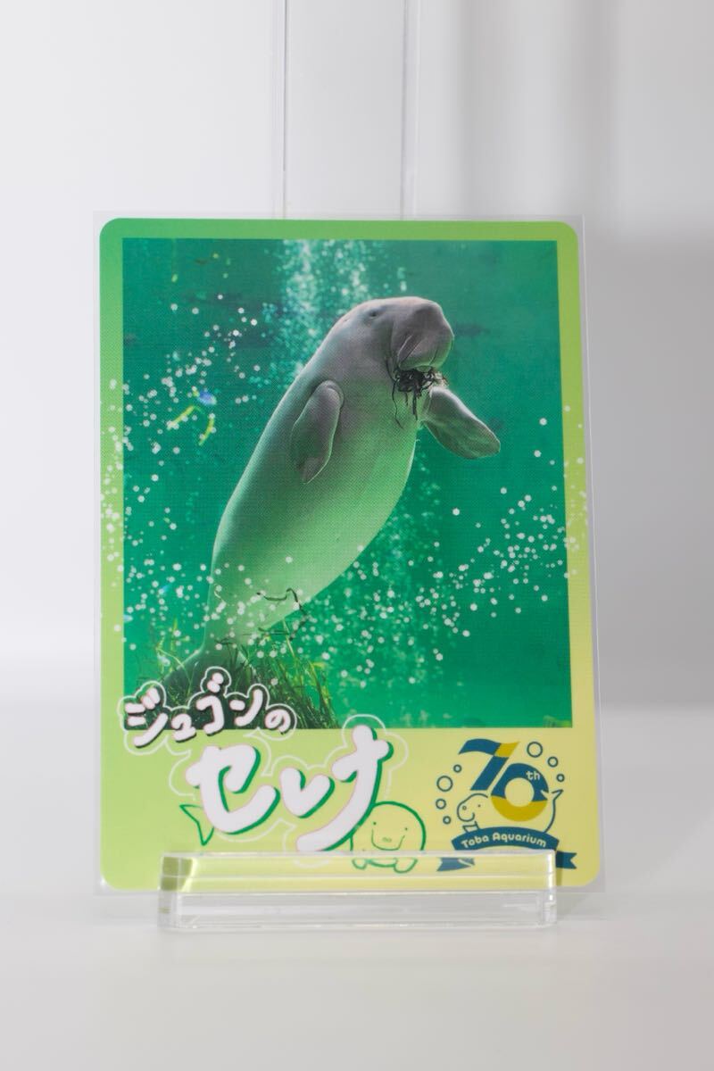 2025年最新】Yahoo!オークション -鳥羽水族館 ジュゴンの中古品