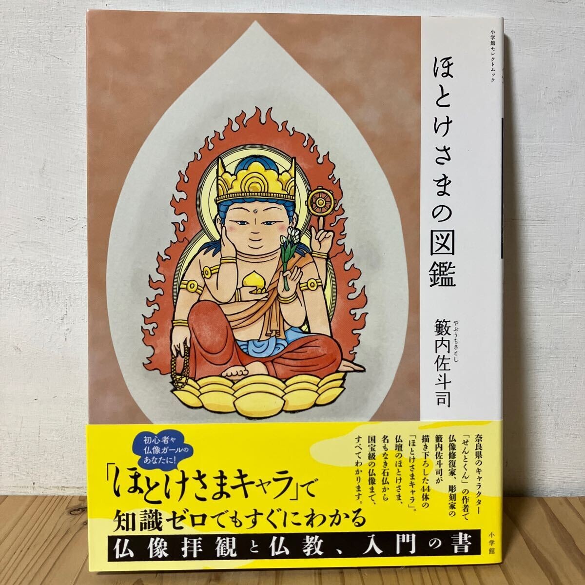 Amazon.co.jp: 籔内佐斗司流 仏像拝観手引 DVD全2巻セット【NHK