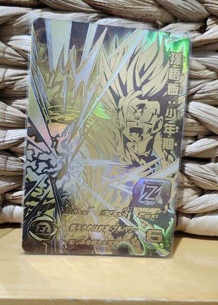 台湾 スーパードラゴンボールヒーローズ EVT1-SEC3 P 孫悟飯:少年期