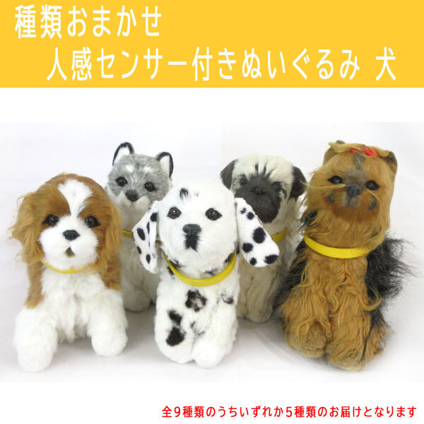 2025年最新】Yahoo!オークション - イヌ(動物 ぬいぐるみ)の中古