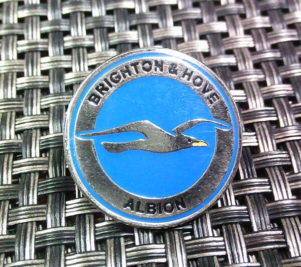 《銀青Bri鴎》■新品■ブライトン・アンド・ホーヴ・アルビオンFC Brighton & Hove Albion FC サッカー プレミアリーグ ピンバッジ