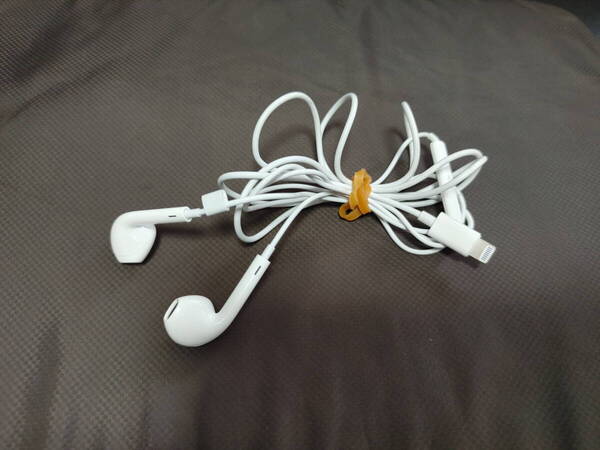 Apple イヤホン アップル イヤフォン 有線 iPhone Lightning端子 純正 (中古品) 07