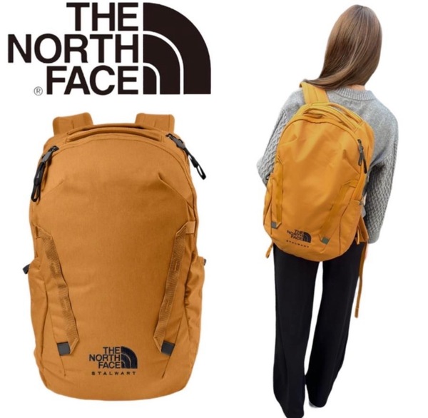 ザ ノースフェイス リュック カバン バックパック NF0A52S6 タン 27L メンズ レディース THE NORTH FACE STALWART BACKPACK 新品