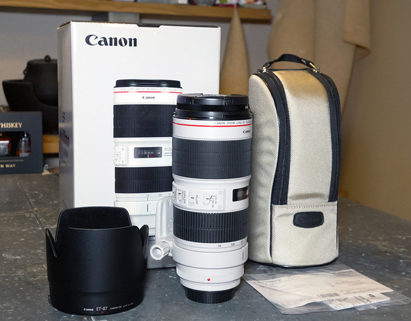 キャノンCanon EFレンズ EF70-200mm F2.8L IS III USM(使用頻度少ない極上品)