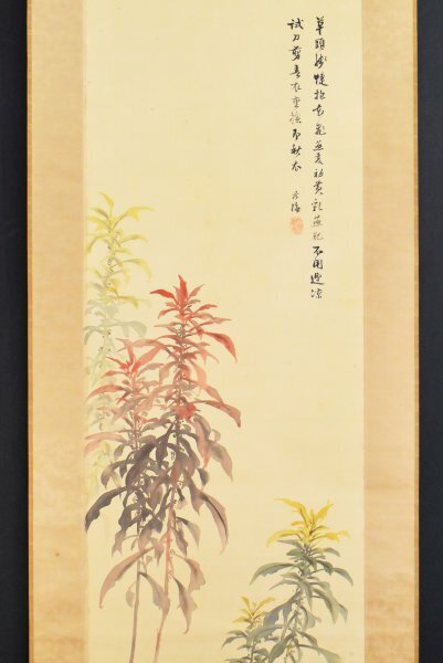 2025年最新】Yahoo!オークション -#葉(日本画)の中古品・新品