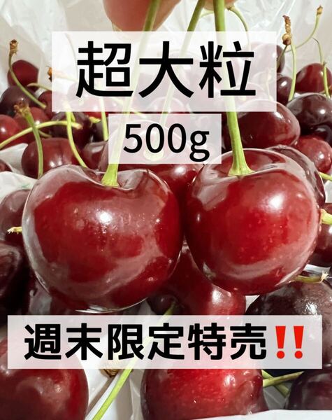 9.5r超大粒アメリカンチェー500g 父の日 中元 家庭用 ポスト投函 車厘子 美國櫻桃 さくらんぼ 国内検品発送 果物空輸直送 常温便