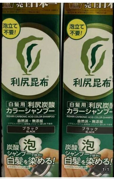 送料無料 サスティ 白髪用 泡 利尻炭酸カラーシャンプー ブラック 2本セット 180g ノンシリコーン