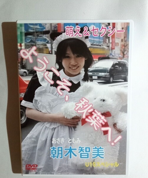 朝木智美 中古DVD『ようこそ、秋葉へ!』グラビアアイドル あさぎともみ