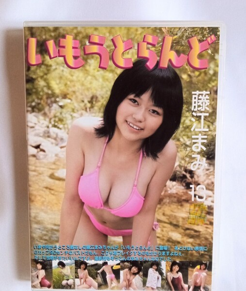 藤江まみ 中古DVD『いもうとらんど』グラビアアイドル 水上れみ ふじえまみ