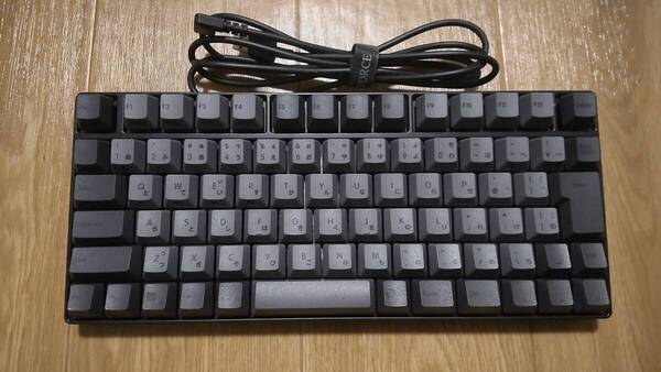東プレ REALFORCE RC1 日本語配列 30g C1HJ13