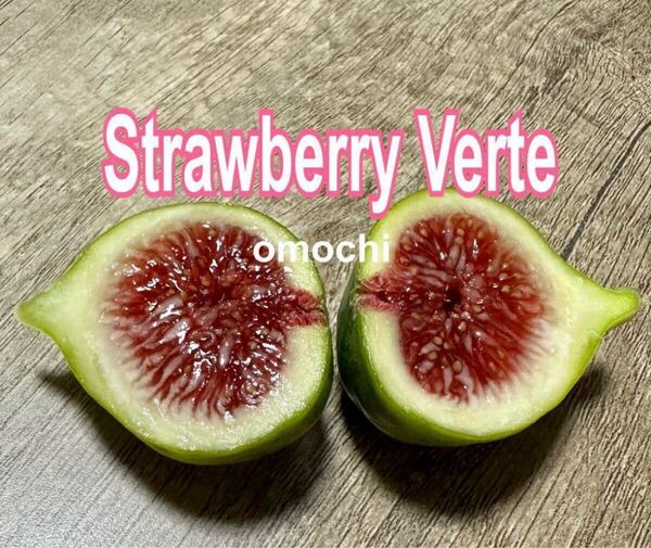 I いちじく ストロベリーベルテ Strawberry Verte 苗木 挿木 穂木 送料込