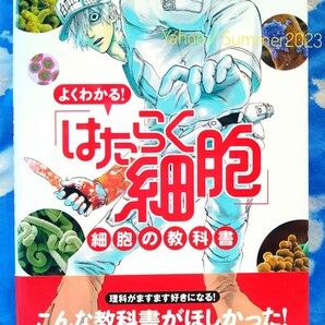 美品 帯付き よくわかる! はたらく細胞 細胞の教科書 リアル図鑑付き 働く細胞 さいぼう 人体 赤血球 白血球 キラーT細胞 血小板 清水茜