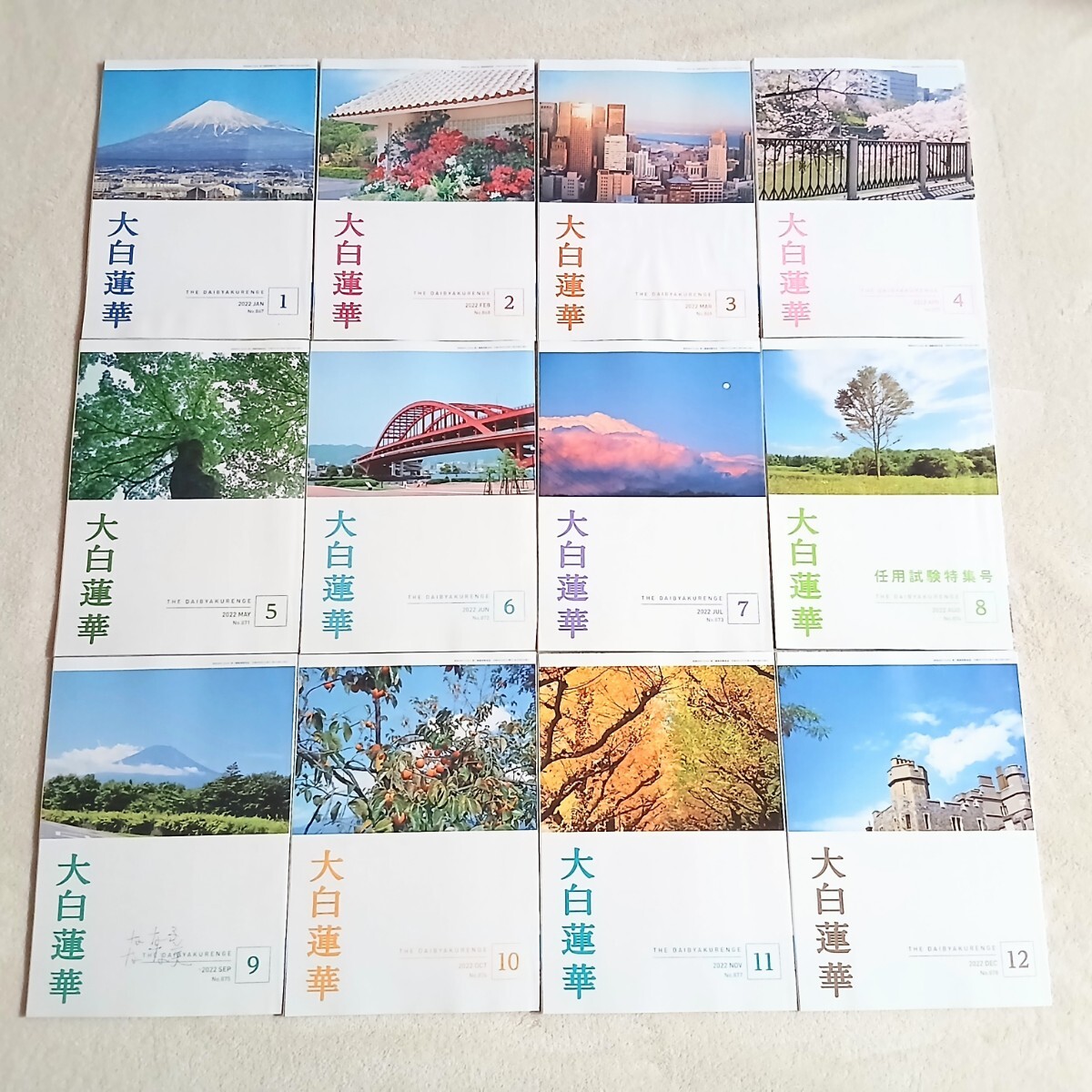 【希少品】 大白蓮華 昭和42年 雑誌 創価学会 9冊セット 希少品】 大白蓮華 昭和42年 雑誌 創価学会 9冊セット 希少品