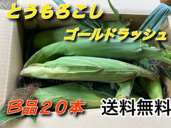 とうもろこし ゴールドラッシュ 訳あり 20本 送料無料