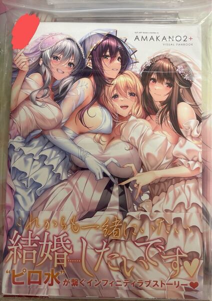 アマカノ2+ ビジュアルファンブック ピロ水 直筆サイン