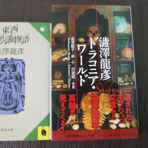澁澤龍彦 ドラコニア・アート+東西不思議物語 2冊