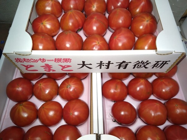 長崎県産「フルーツトマト」3箱セット