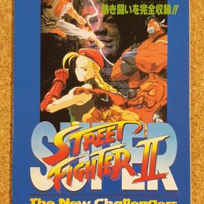 付録 スーパーストリートファイターⅡ 完全ガイドブック ファミリーコンピュータマガジン ファミマガ スーパーストリートファイター2