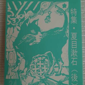The Lucky Horror Show 34 特集・夏目漱石(後) 南原四郎 蜂巣敦 秋田昌美 アラン 月光 LUNA 編集・南原企画 【未読本】