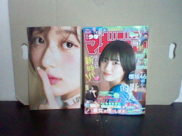 週刊少年マガジン2025年30号6月25日発売 櫻坂46的野美青プレゼント企画あり オマケ/ヤンジャン/加藤栞 7月9日号