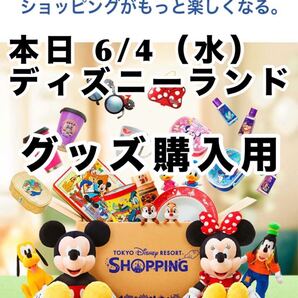 本日 6/4(水) ディズニーランド 使用済みチケット オンラインショッピング グッズ購入用
