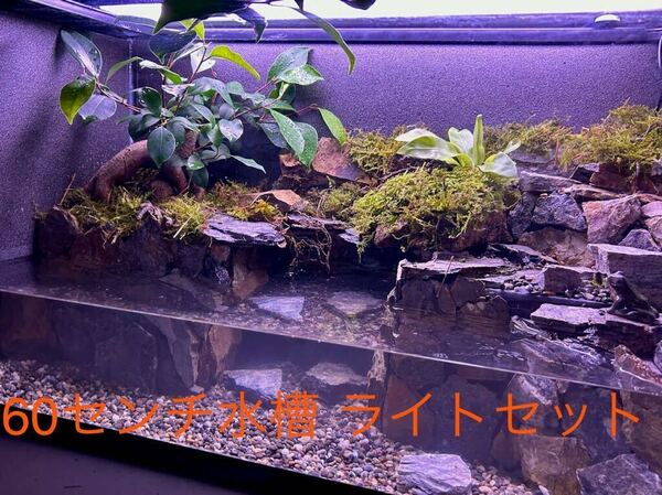 水の流れる滝テラリウム水槽 ライトセット
