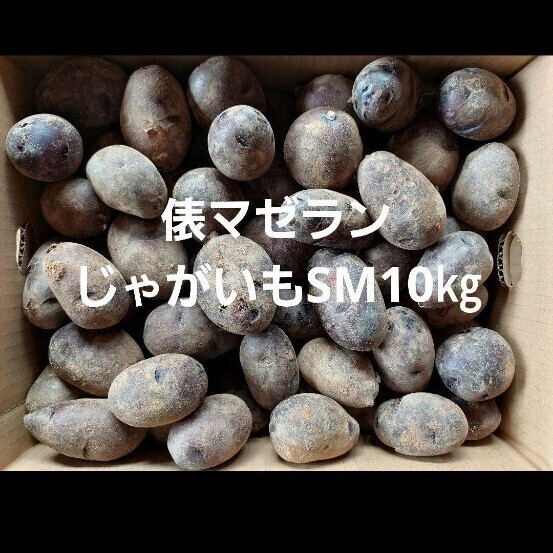 長崎県産俵マゼランじゃがいも10㎏