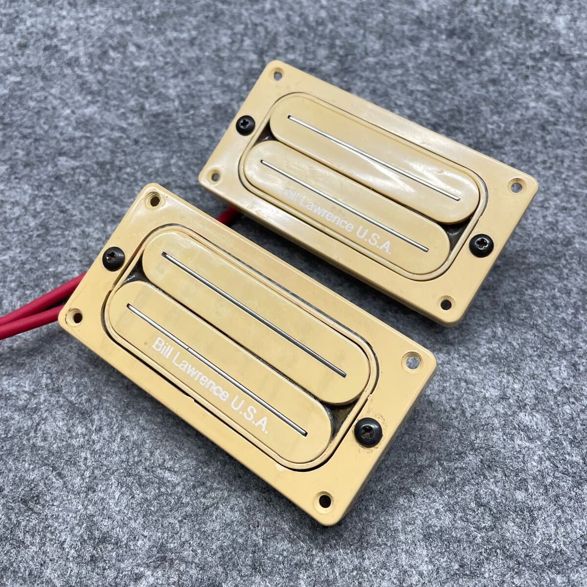 BILL LAWRENCE ( ビルローレンス ) L-500L Zebra 送料無料