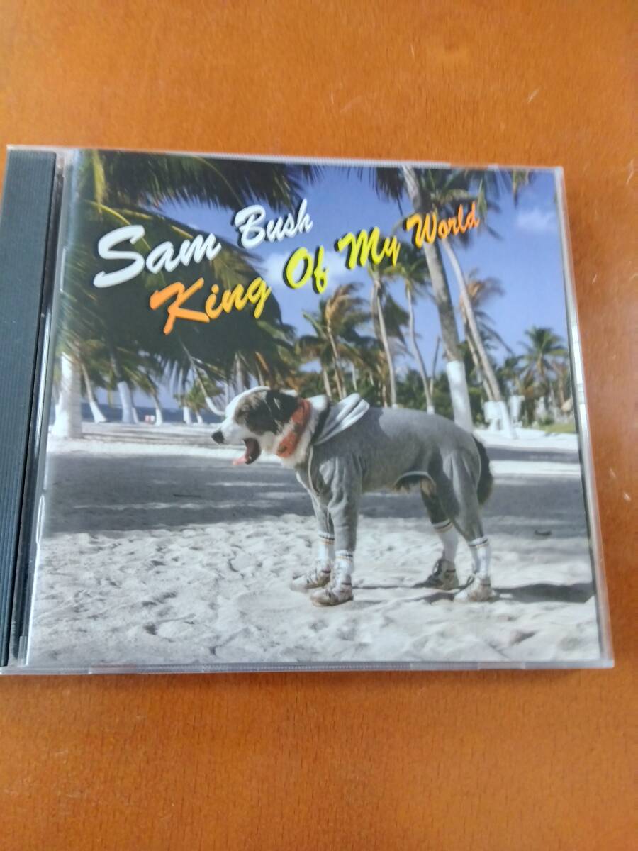 2025年最新】Yahoo!オークション -ブルーグラス cd(CD)の中古品