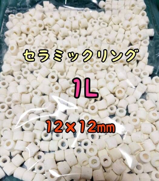 リングろ材 セラミックリング 1L 濾材 水質改善 メダカ アクアリウム 海水淡水両用 熱帯魚 金魚 錦鯉 亀 ザリガニ バクテリア グッピー