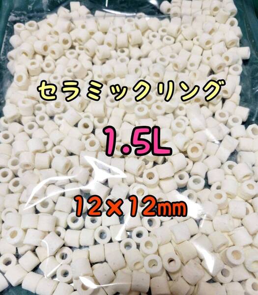 リングろ材 セラミックリング 1.5L 濾材 水質改善 メダカ アクアリウム 海水淡水両用 熱帯魚 金魚 錦鯉 亀 ザリガニ バクテリア グッピー