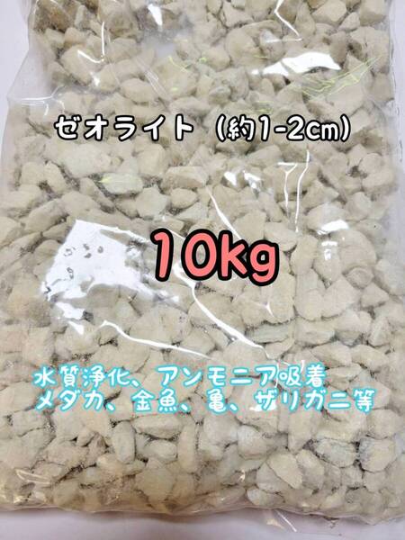 水質浄化 約1-2cm ゼオライト10kg アクアリウム メダカ 金魚 亀 ザリガニ アンモニア吸着 錦鯉 ベタ グッピー