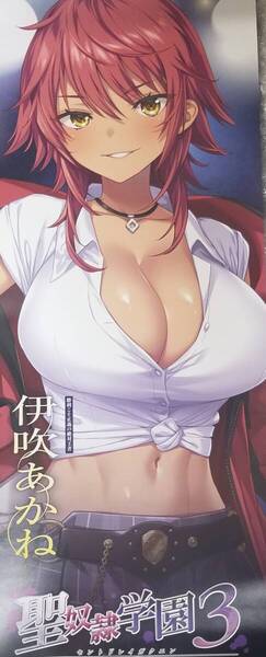 Liquid 聖奴隷学園3 伊吹あかね スリムポスター 夏彦