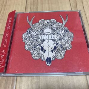 米津玄師 YANKEE