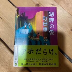 湖畔の愛 (新潮文庫 ま-20-4) 町田康/著
